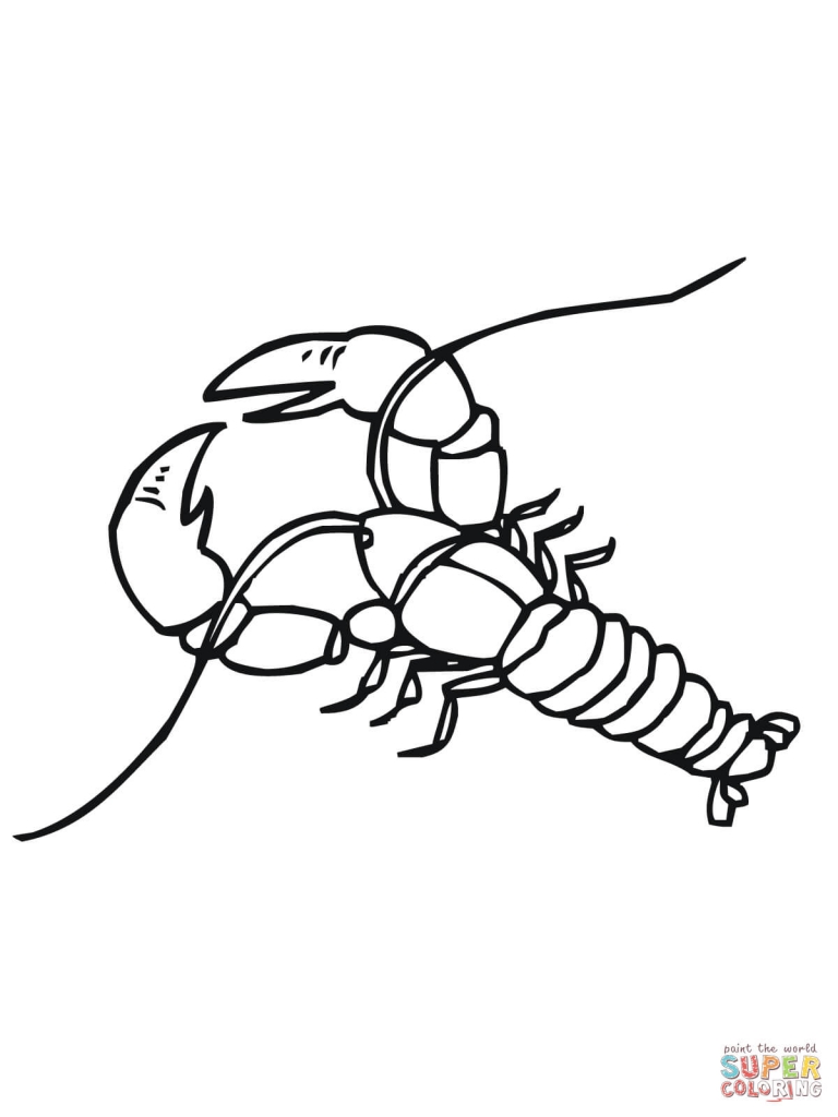 768x1024 Luxury Crawfish Coloring Page Photo