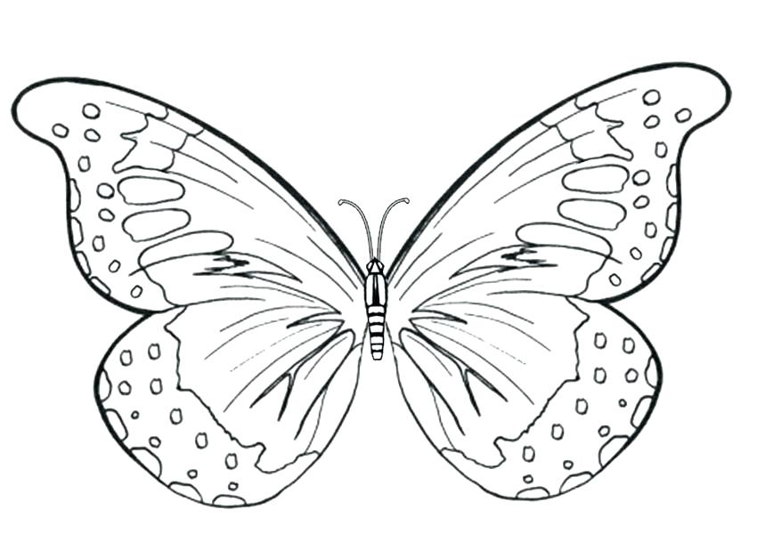 850x600 Simple Butterfly Coloring Pages Butterfly Coloring Pages Crayola