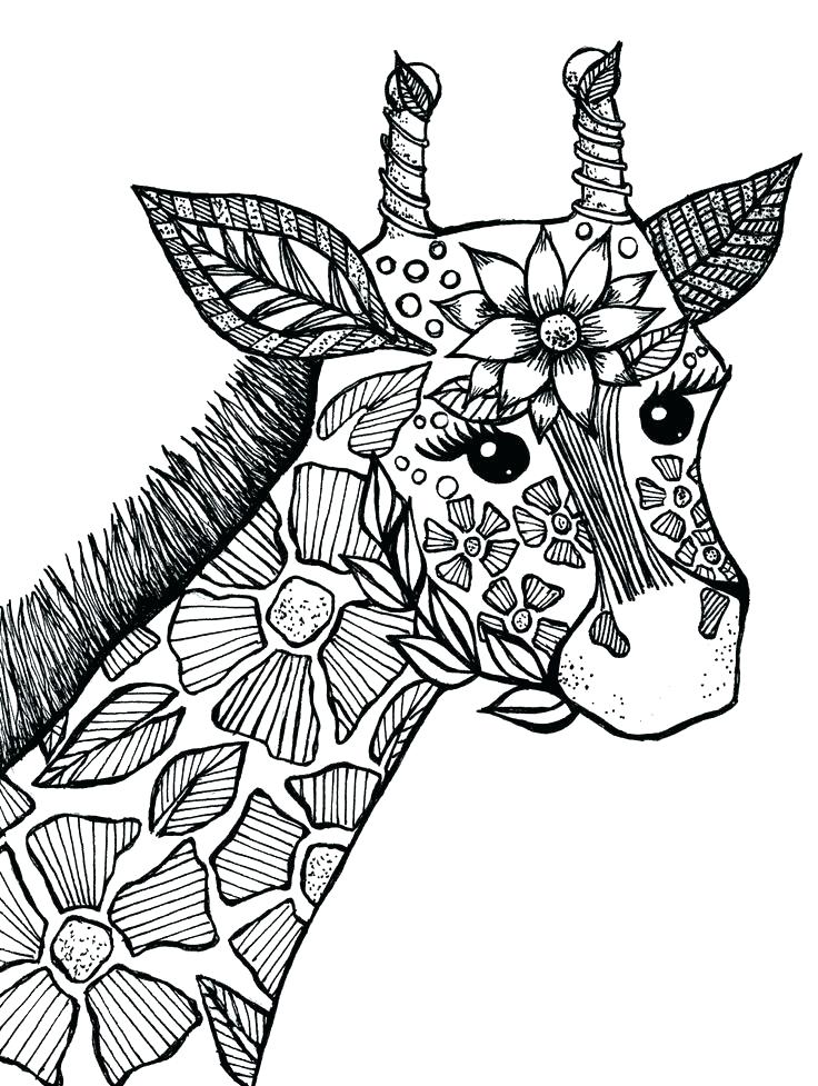 736x977 Coloring Pages Of Animals Good Coloring Pages Animals Crayola