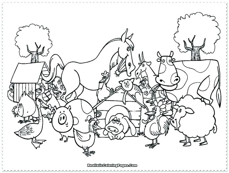 728x553 Crayola Coloring Pages Animals