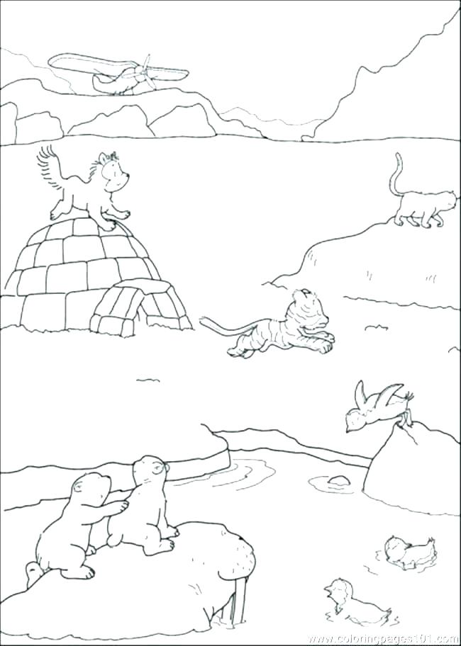 650x912 Walrus Coloring Page Walrus Coloring Page Fresh Tundra Animals