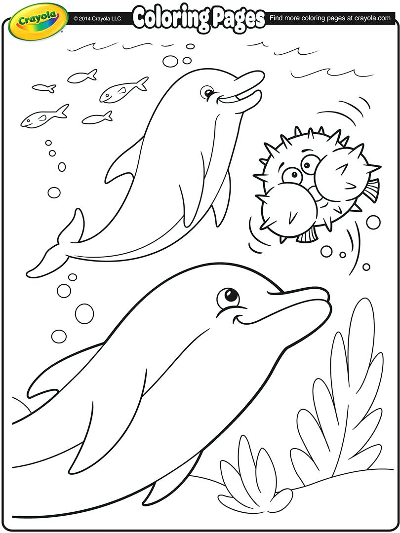 810x1080 Crayola Coloring Pages Crayola Colouring Pages Online