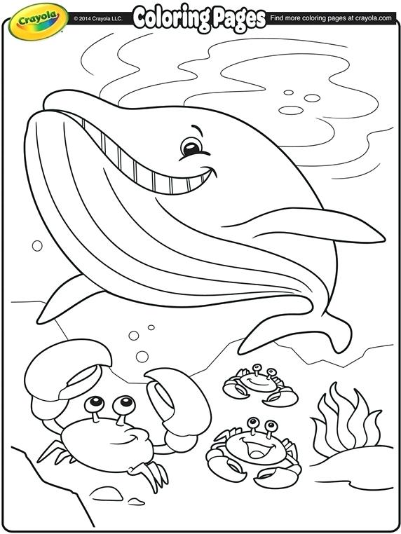 572x762 Crayola Com Coloring Pages Crayolacom Coloring Pages Whale