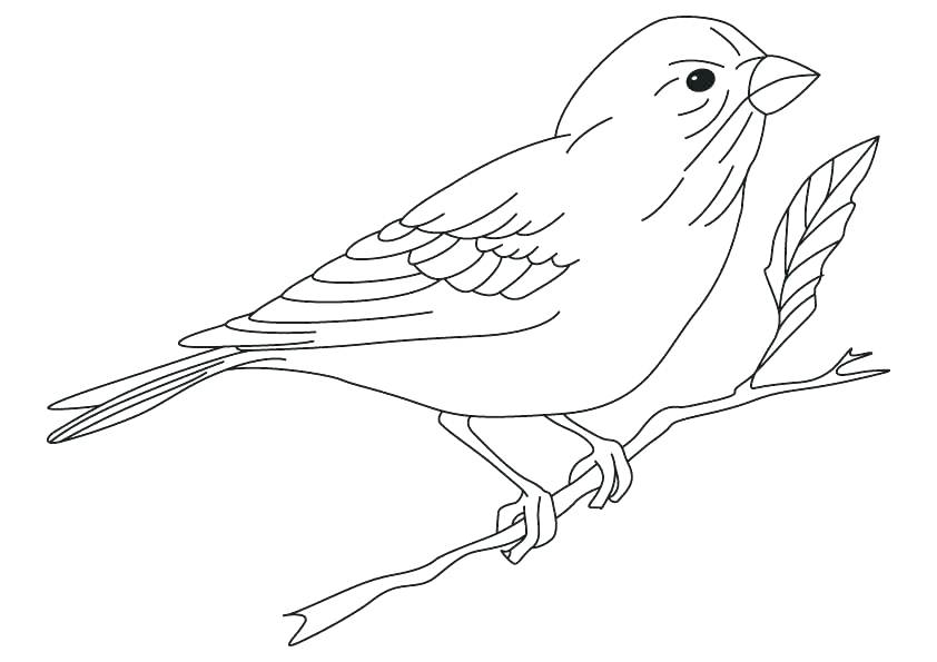 842x595 Yellow Coloring Page Yellow Coloring Pages Yellow Crayon Coloring