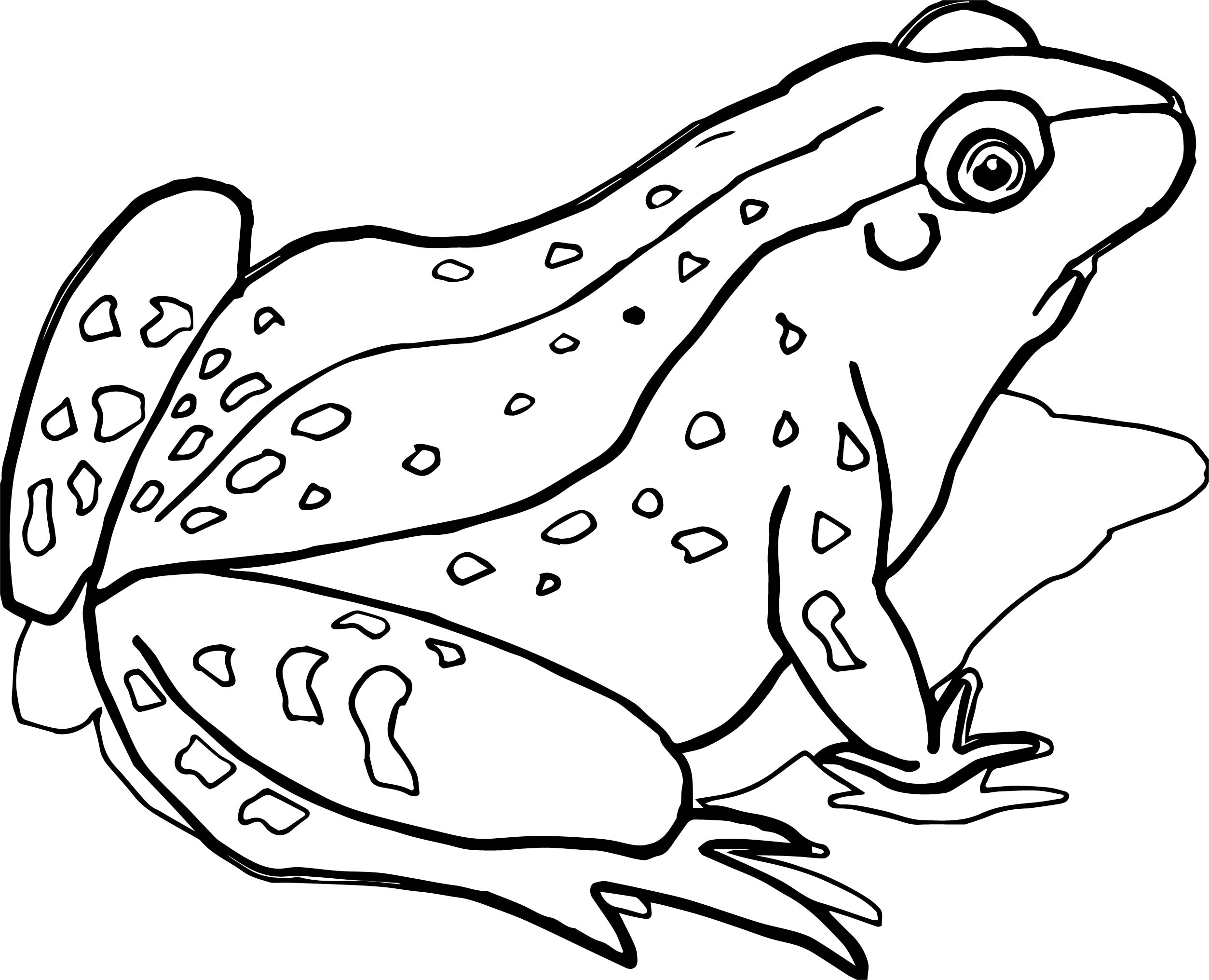 2507x2032 Trend Crazy Frog Coloring Pages Improved Pleasurable 19118 Unknown