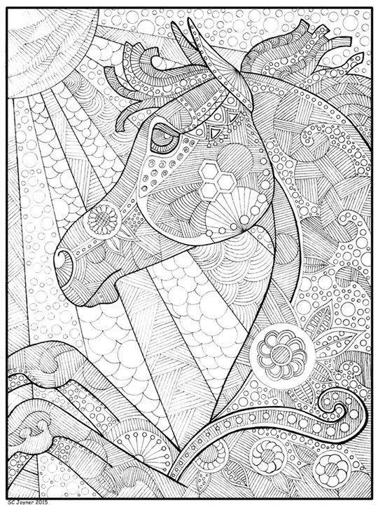540x720 Suzanne Joyner