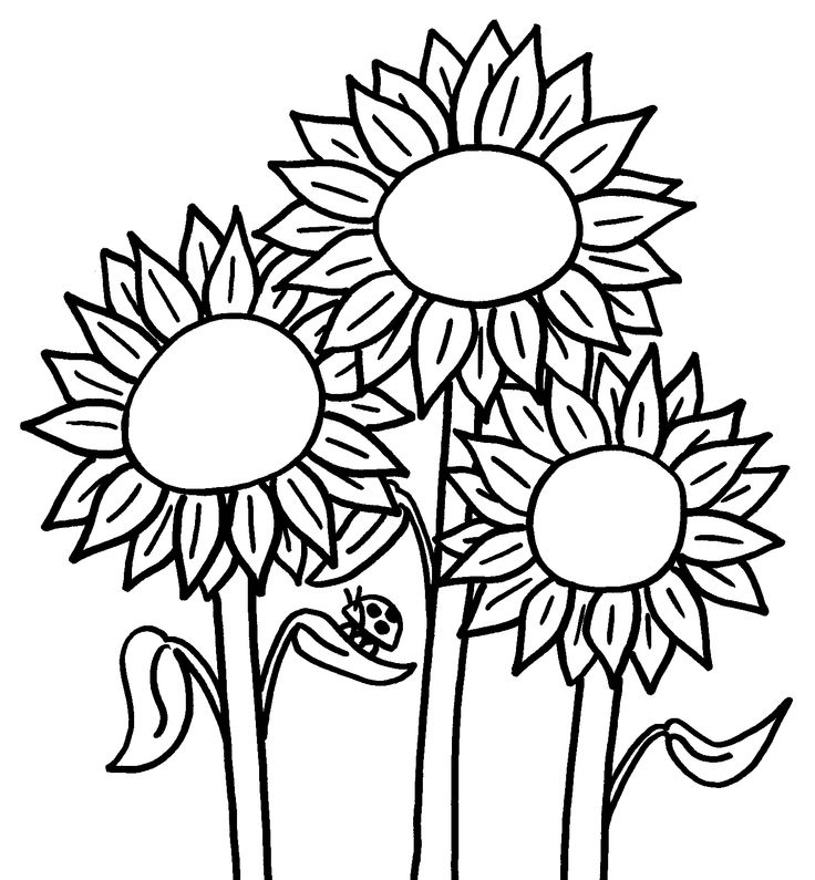 736x795 Coloring Pages Of Your Name You Can Create Own Page