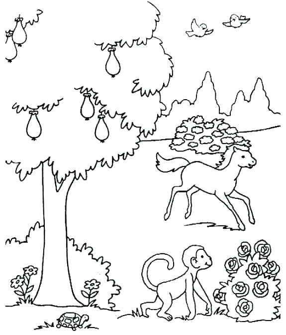 575x672 Creation Coloring Pages Days Of Creation The Moon And The Sun