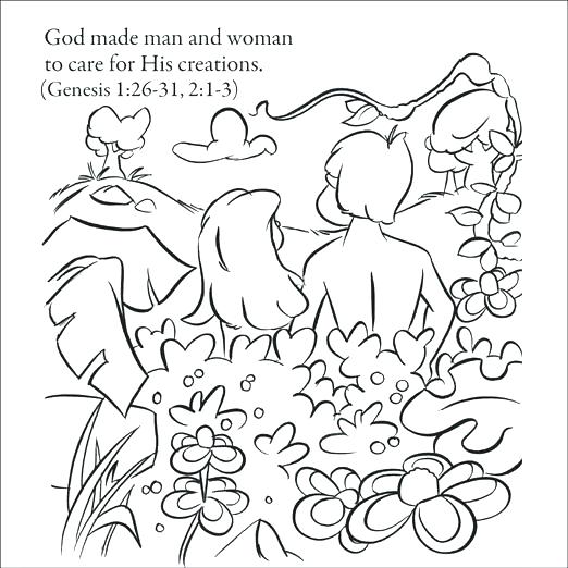 522x522 Creation Coloring Pages For Sunday School Bible Creation Coloring