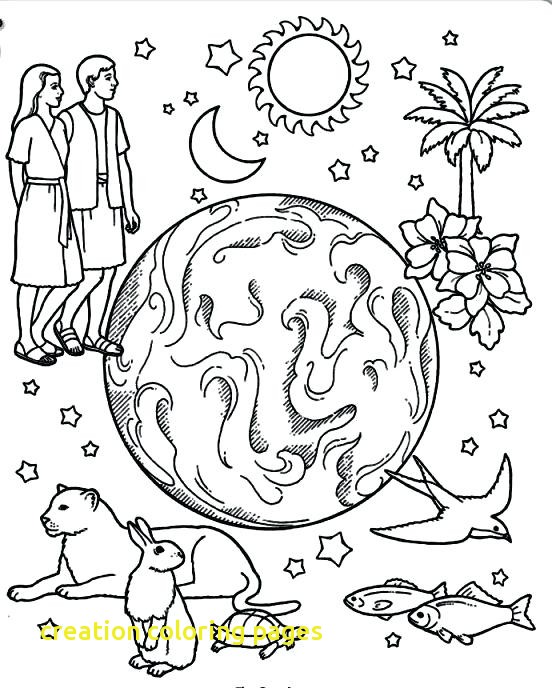 552x688 Creation Coloring Pages With Creation Coloring Pages Creation