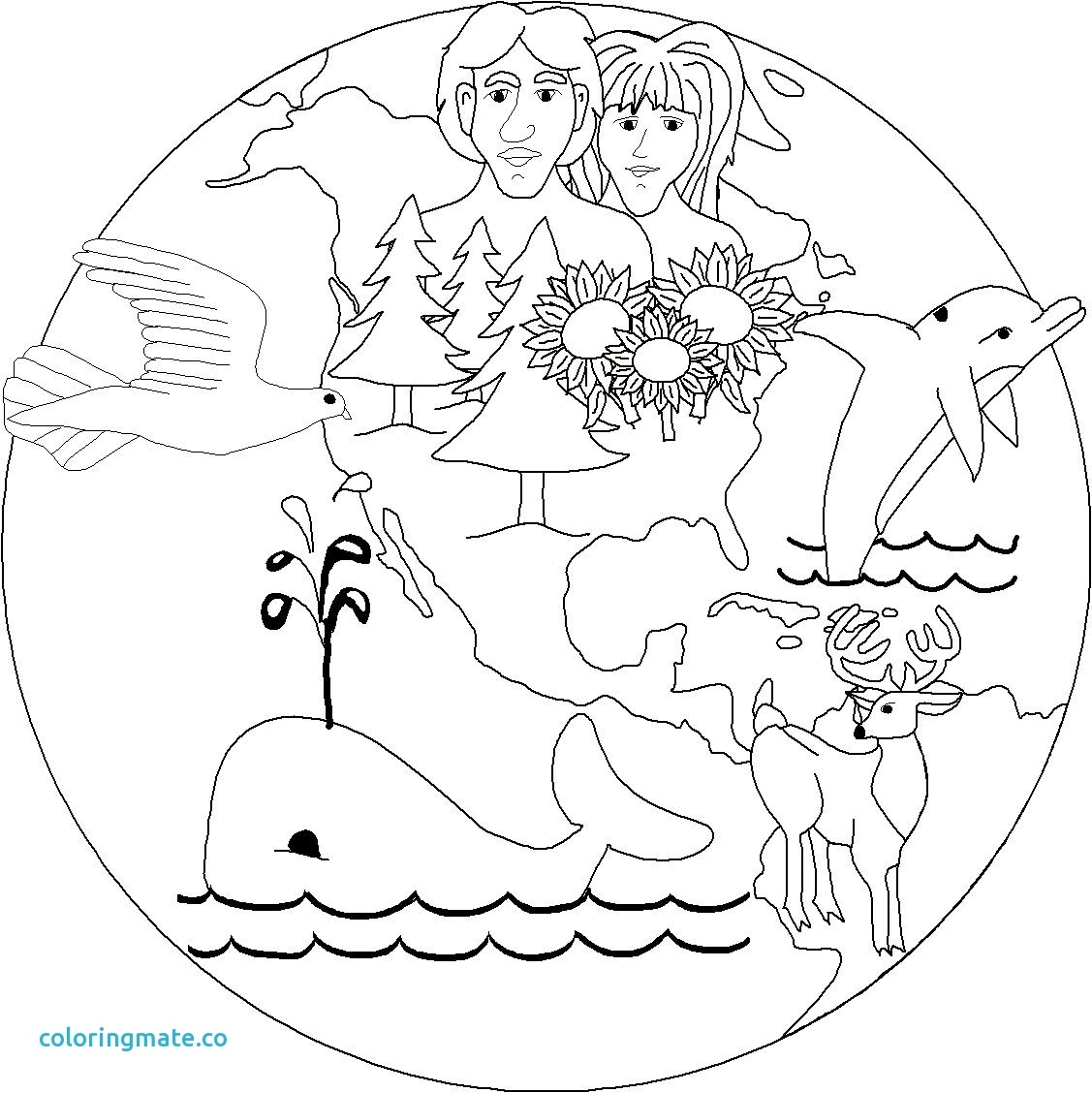 1127x1128 Days Of Creation Coloring Pages Collection