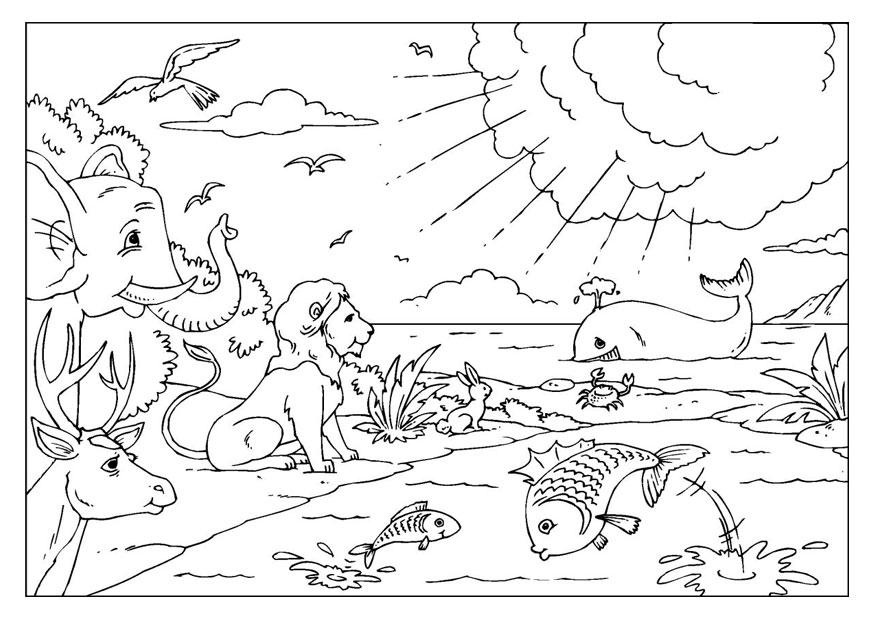 875x620 Creation Coloring Page Bible Creation Coloring Pages Background