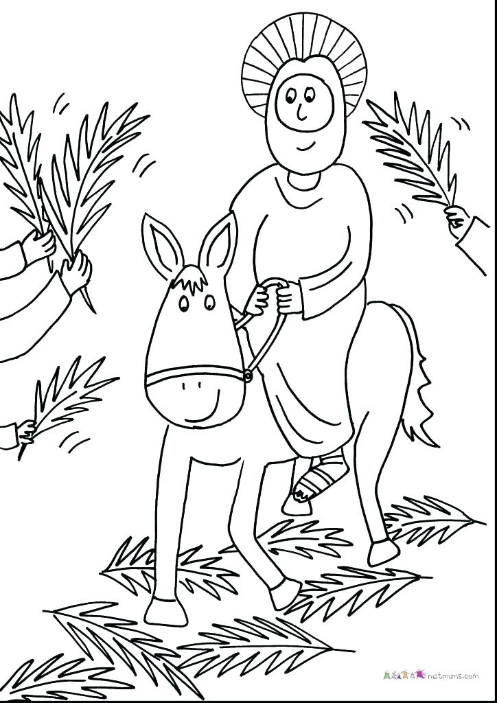 724x1024 Creation Coloring Pages Creation Coloring Pages Lovely Bible Story