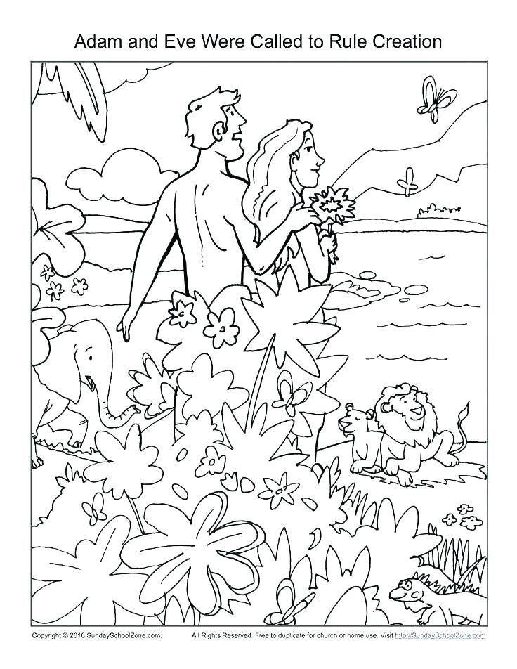 736x952 Creation Coloring Page 7 Days Of Creation Coloring Pages Creation