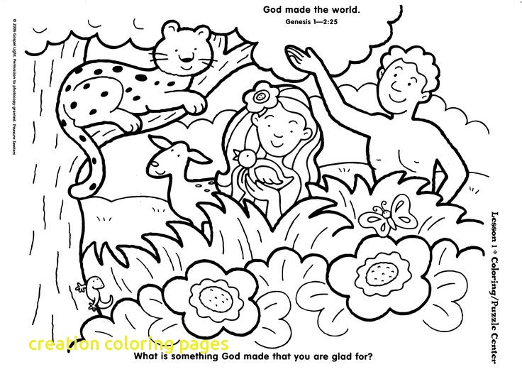 736x541 Creation Coloring Pages