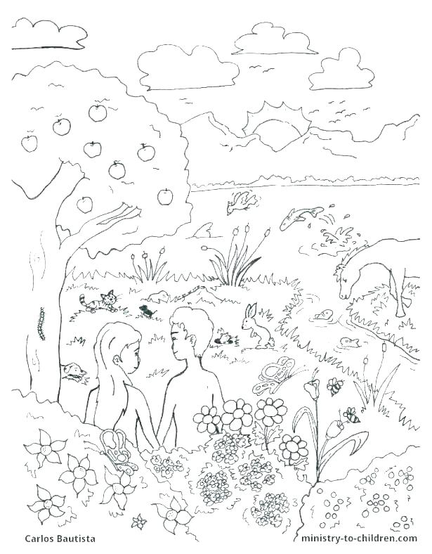 615x788 Creation Coloring Pages S Star Creation Coloring Pages Pdf Sosin