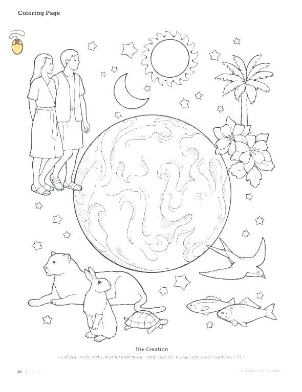 590x767 Creation Coloring Pages Gods Creation Coloring Pages Day 2