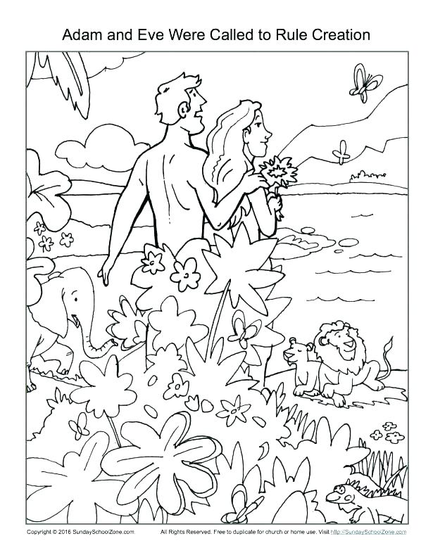 615x796 Mango Coloring Pages Bible Creation Coloring Pages Creation Bible