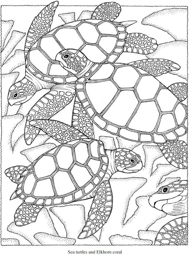 Creative Coloring Pages