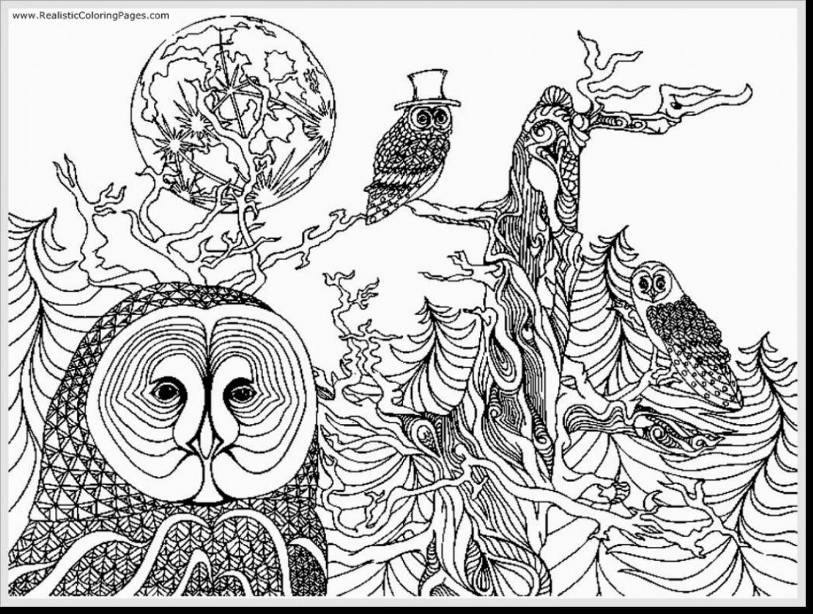 1150x869 Awesome Creative Haven Creative Cats Dover Publications Coloring