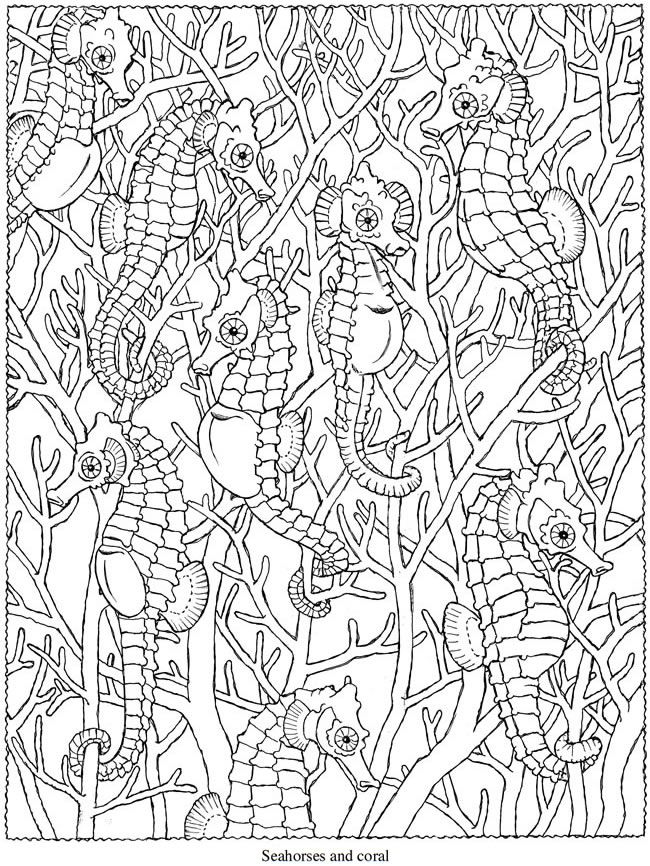 650x866 786 Best Coloring Pages Images On Coloring Books