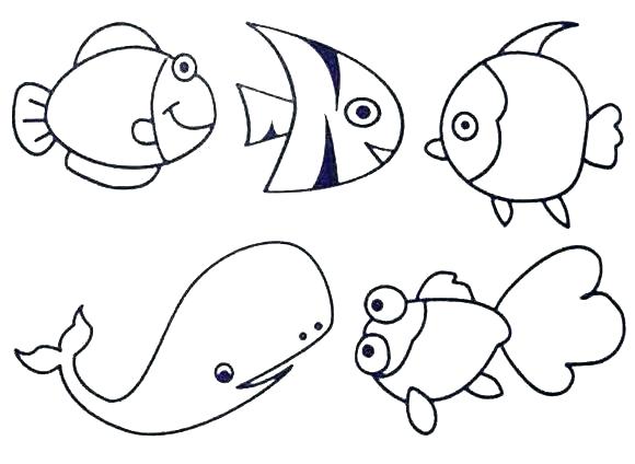580x424 Sea Creature Coloring Pages Ocean Animals Coloring Pages Creatures