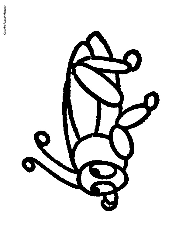 Cricket Coloring Pages