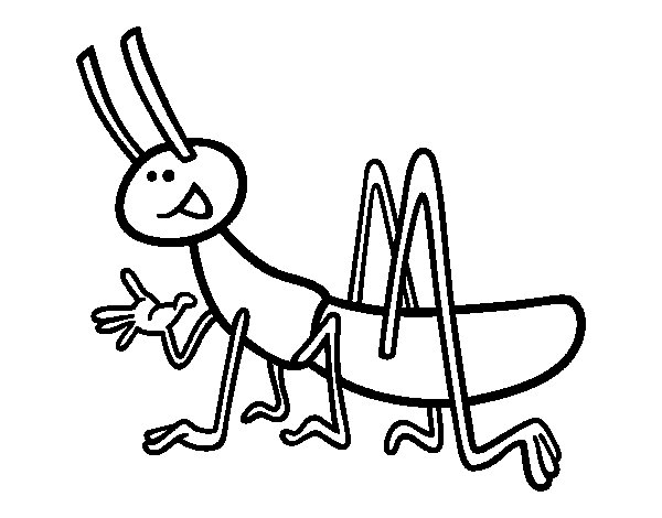 600x470 Printable Cricket Coloring Page