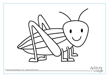 460x325 Cricket Colouring Page