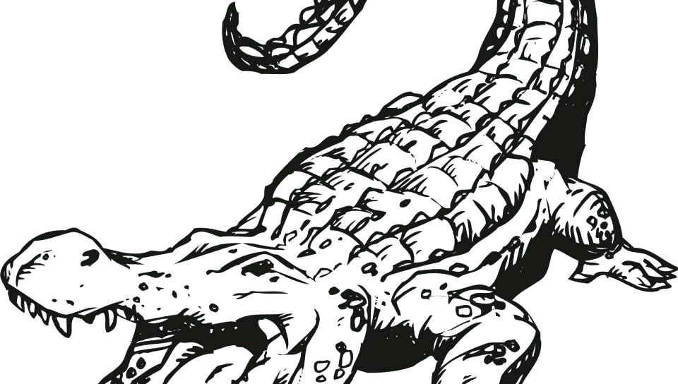 Croc Coloring Pages