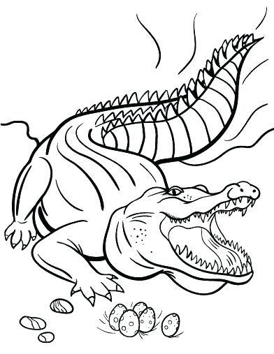 392x507 Crocodile Coloring Pages Freshwater Crocodile Coloring Page