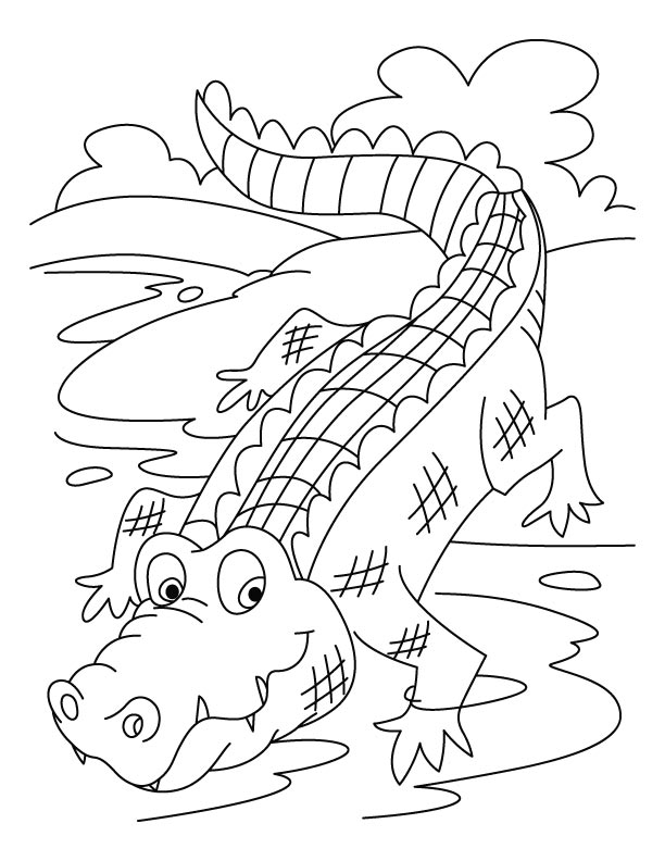 612x792 Free Crocodile Coloring Pages