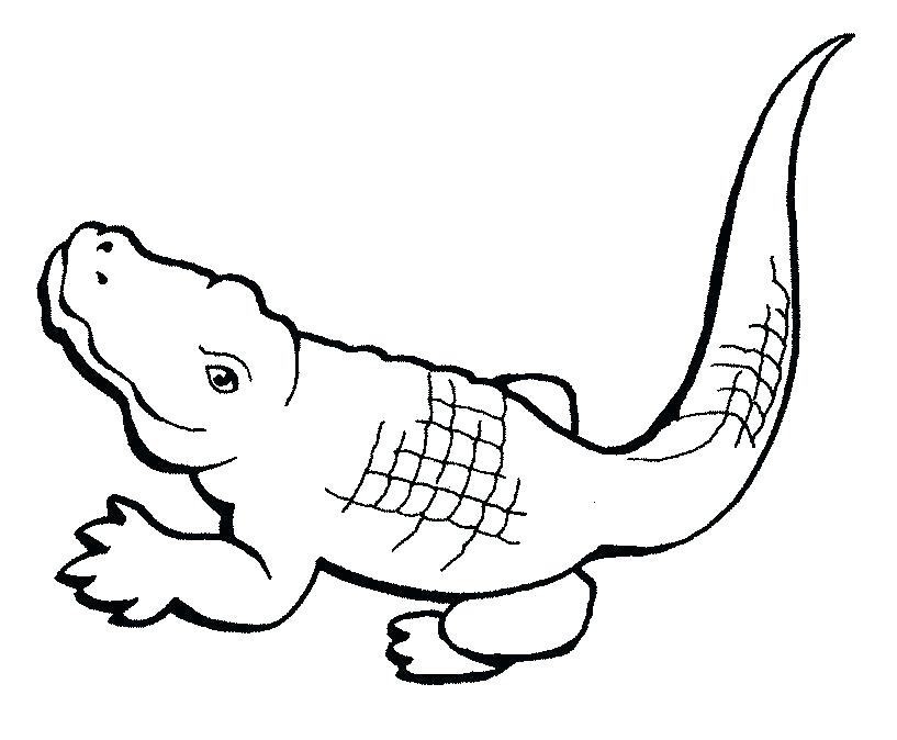 817x674 Crocodile Color Pages