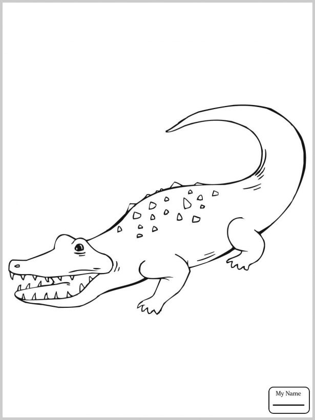 615x820 Baby Crocodile Coloring Pages 311964 Reptiles Ancient Egyptian