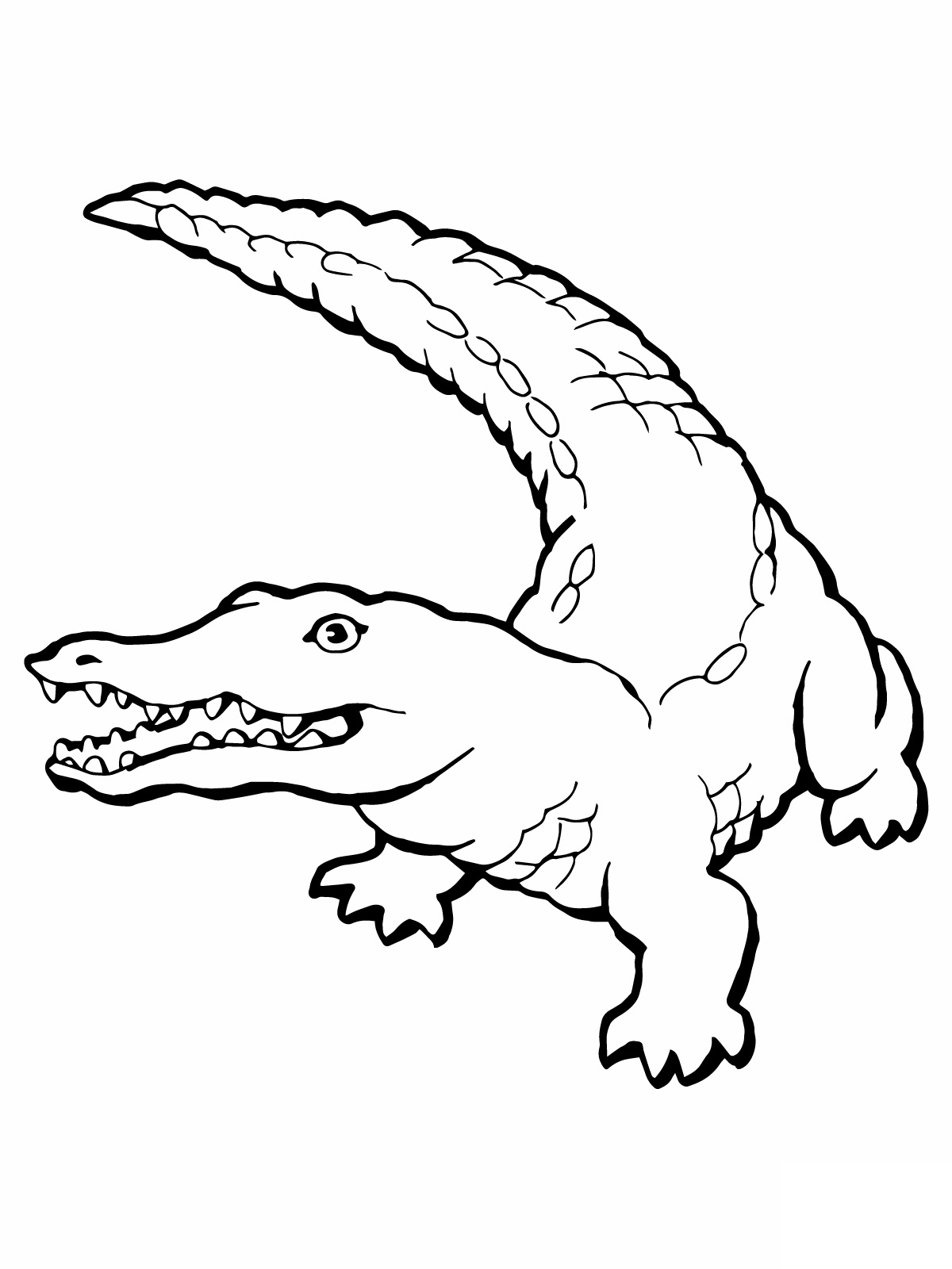1200x1600 Crocodile Coloring Pages Free Printable For Kids Throughout