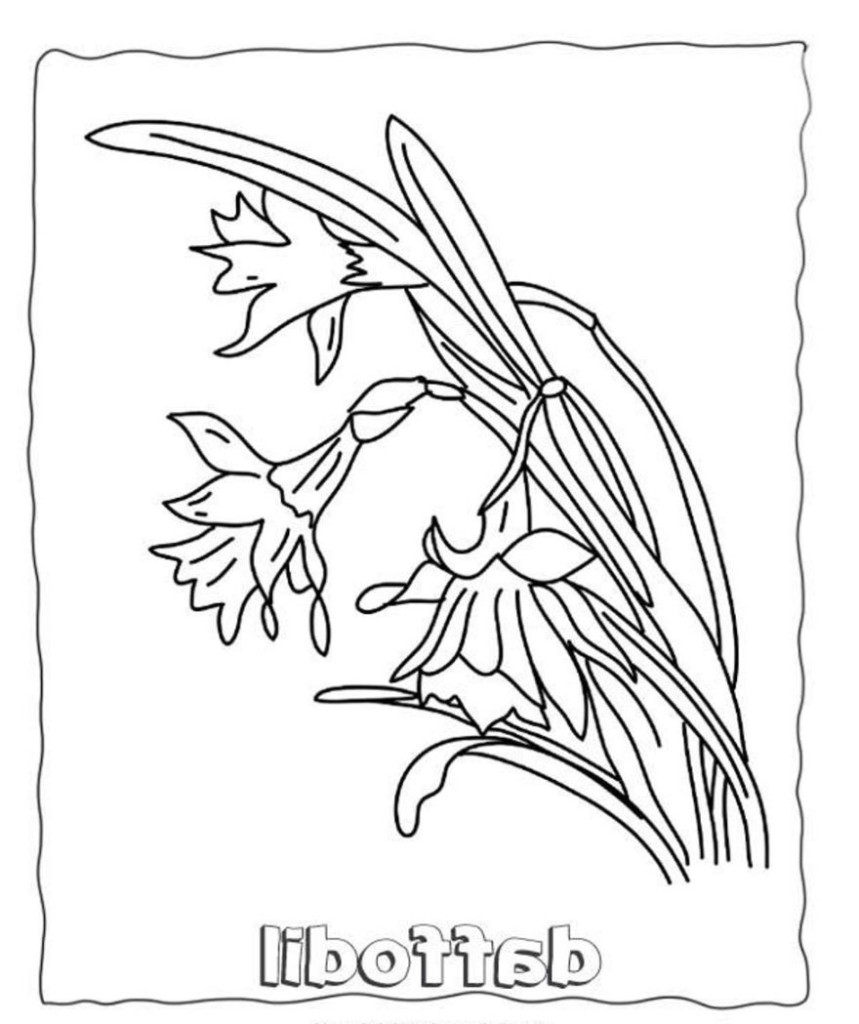 859x1024 Crocus Coloring Pages Coloring Pages Kids