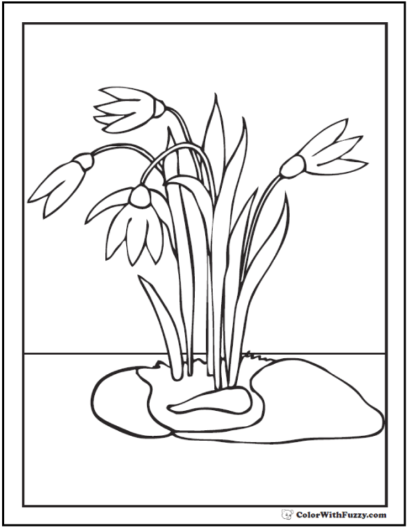 590x762 Spring Flowers Coloring Page Customizable Printables