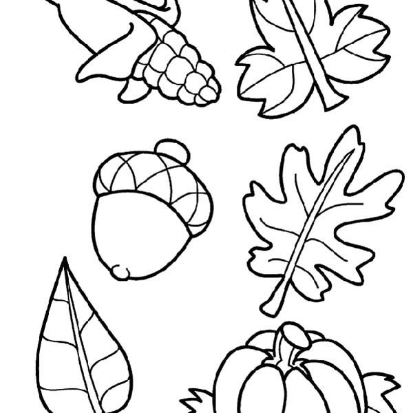 600x600 Harvest Coloring Pictures Harvest Crops In Autumn Season Coloring