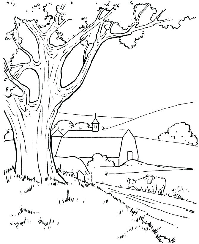 670x820 Coloring Pages Of A Farm Corn And Wheat Crops Coloring Pages
