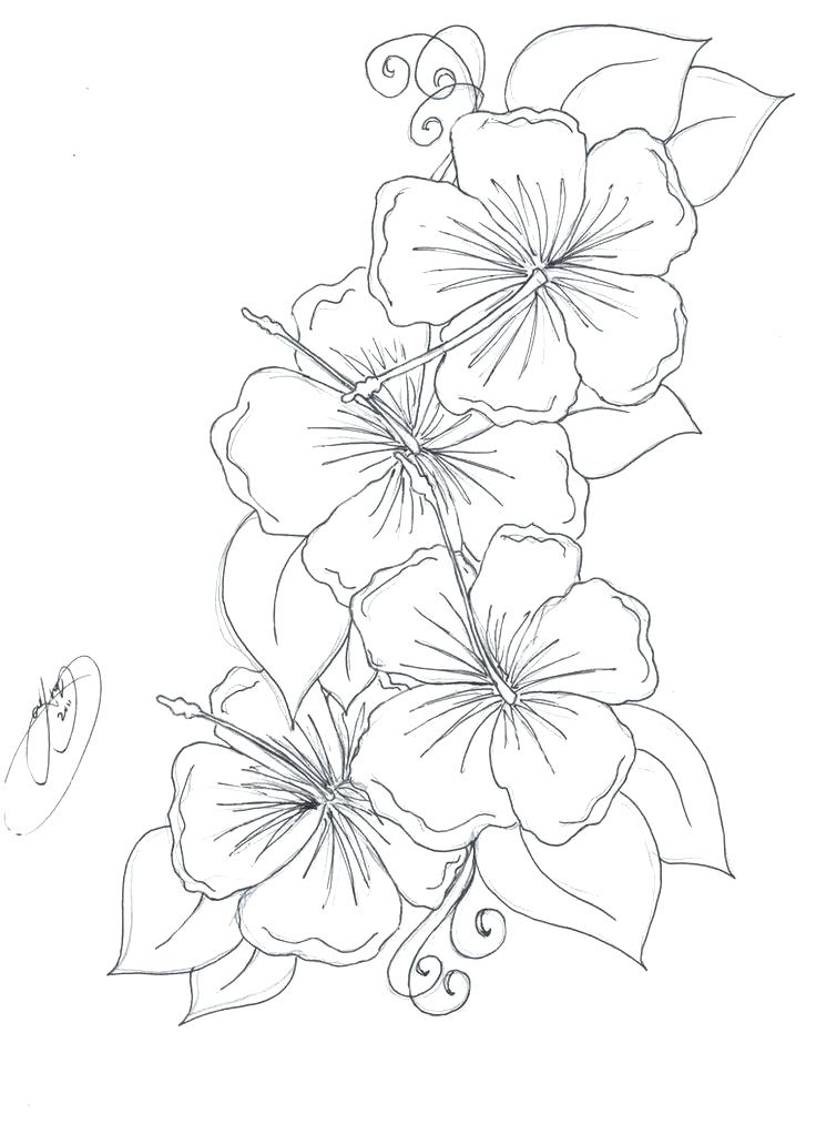 736x1013 Tattoo Coloring Pages Tattoo Design Coloring Pages Dragon Tattoo