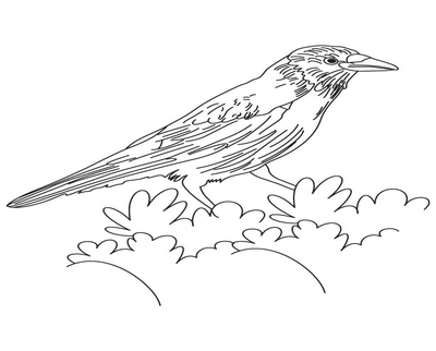 400x322 Crow To Print Coloring Pages Mama And Baby Crows Page