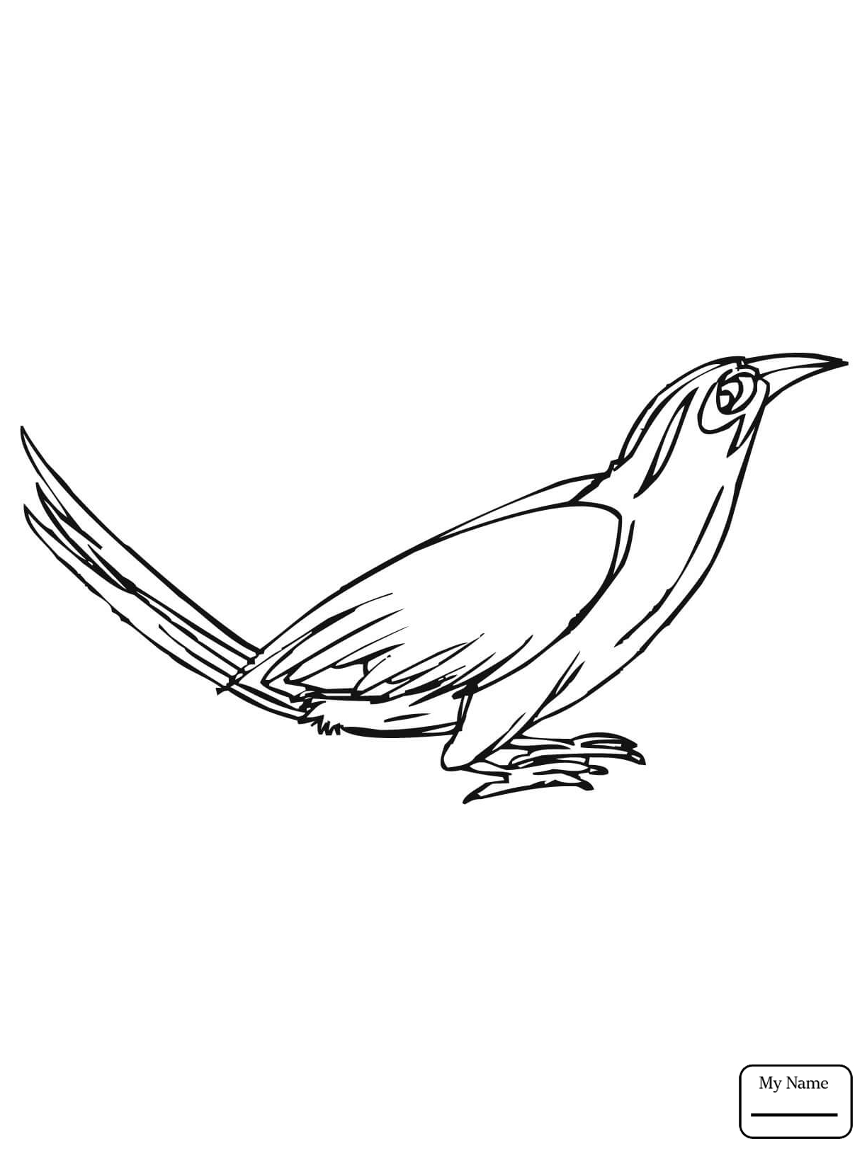 1224x1632 Fundamentals Flying Crow Coloring Page Drawing