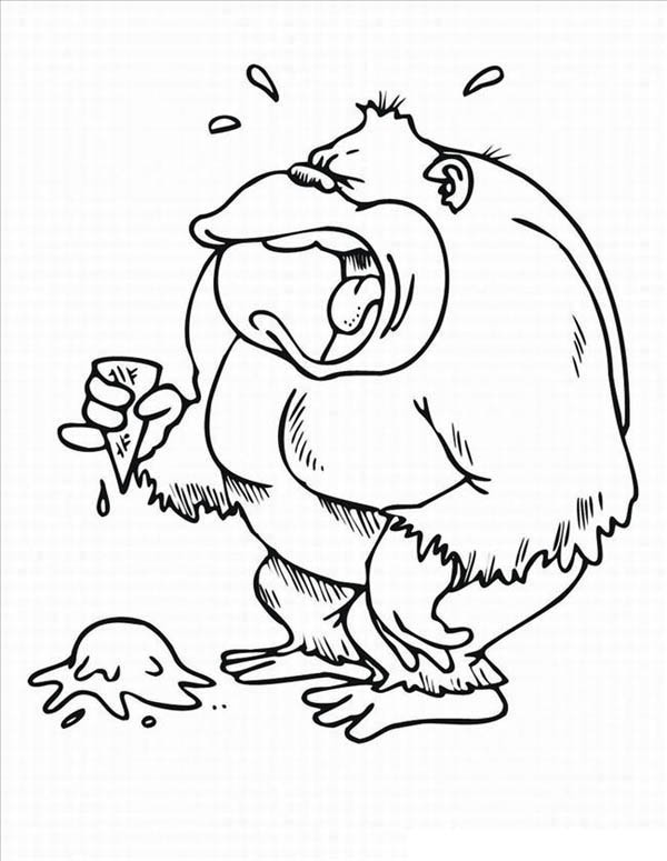600x775 Gorilla