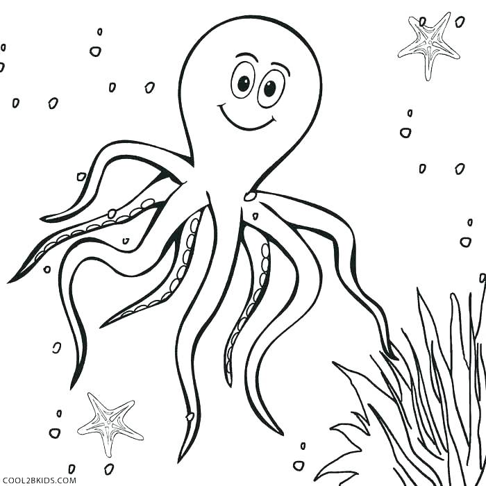 700x700 Breathtaking Cuban Flag Coloring Page World Flag Coloring Pages