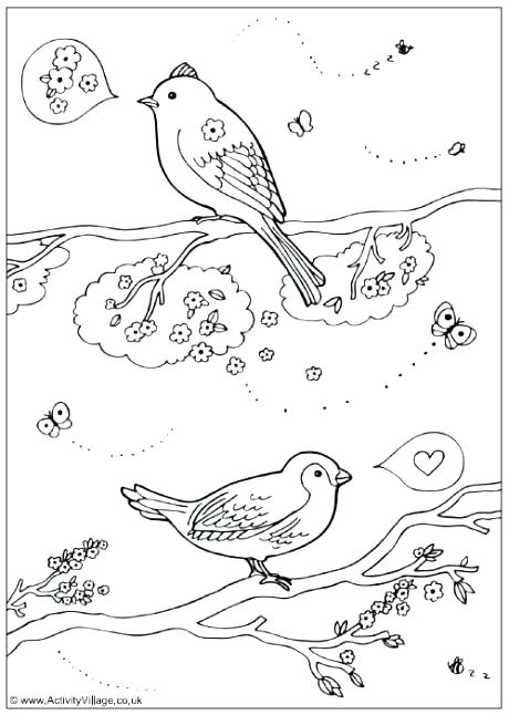 460x646 Beautiful Cuckoo Clock Coloring Page For Coloring Page Birds