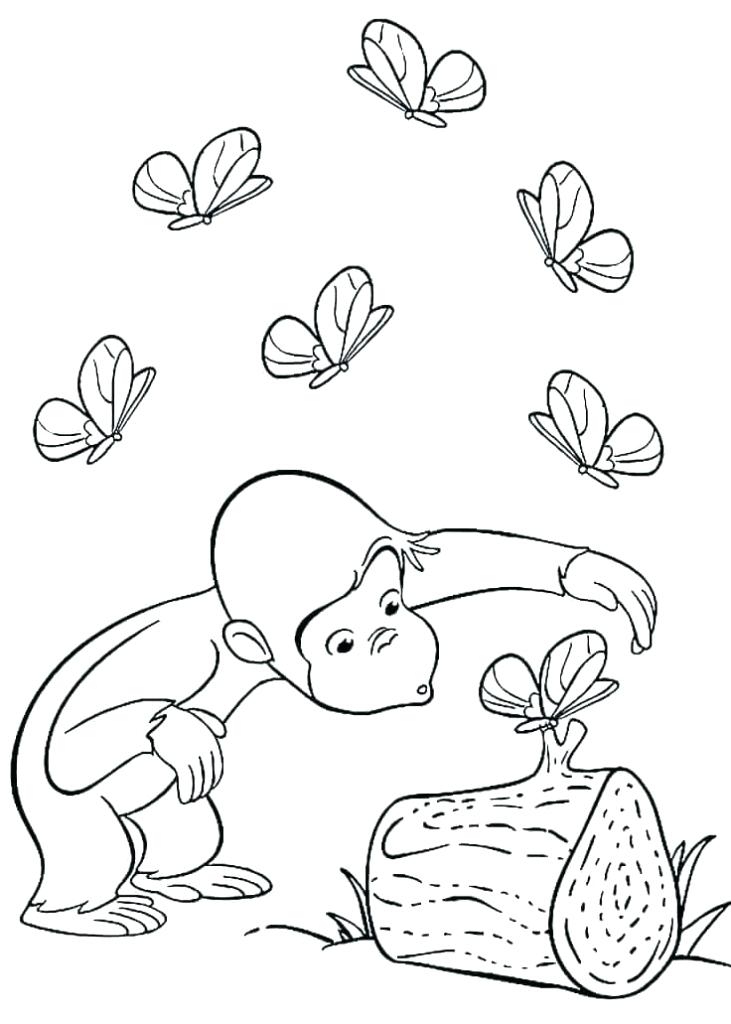 731x1024 Curious George Colouring Pages Free Kids Coloring Free Printable
