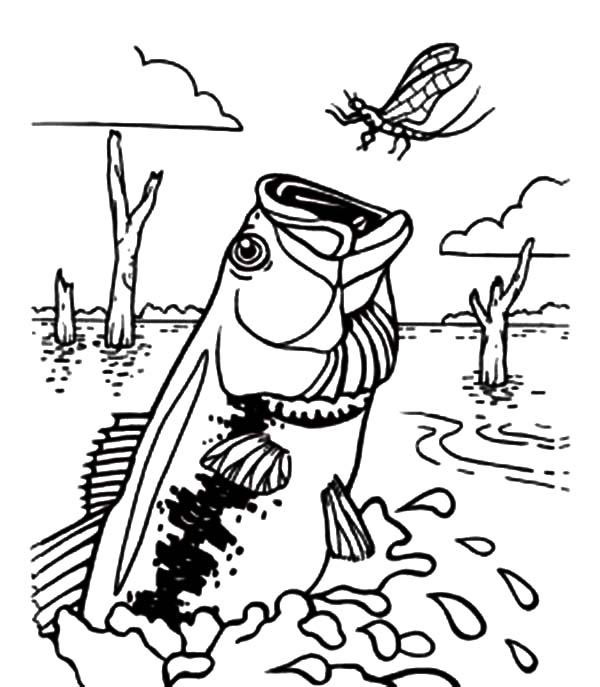600x687 Bass Fish Catching Dragonfly Coloring Pages.jpg