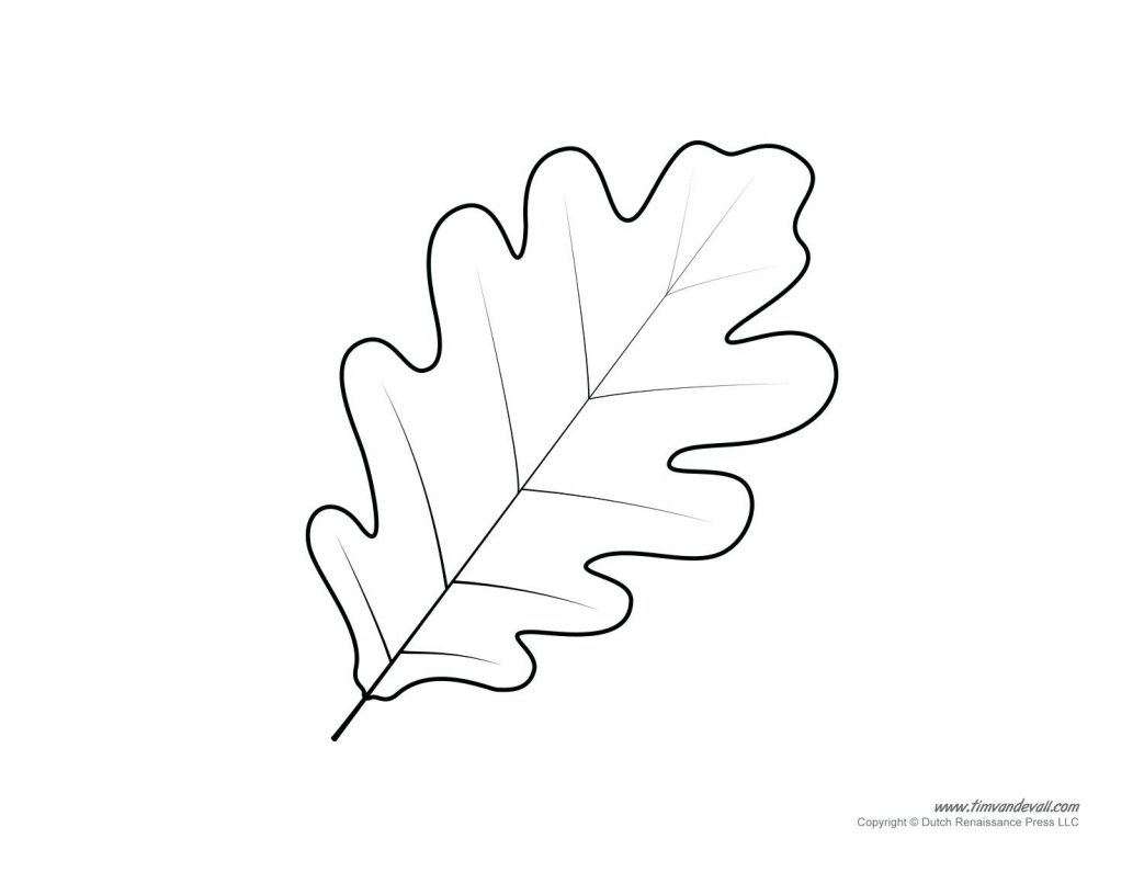 1043x806 Coloring Pages Flowers Hard Stage Draping Reference And 2 Candle