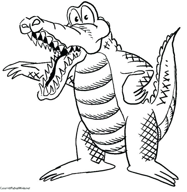 600x616 Alligator Coloring Pages Alligator Coloring Pages Baby Alligator