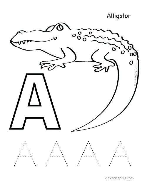 500x647 Alligator Coloring Pages Alligator To Color In Coloring Page